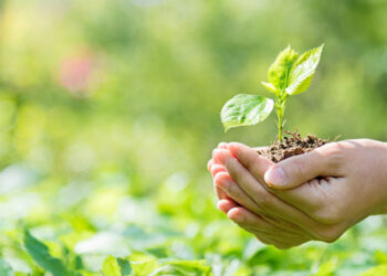 Seguridad y Medioambiente